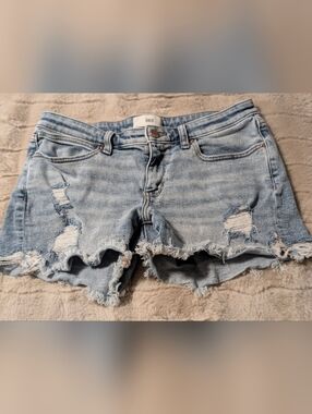 BKE Stella Jean Shorts Distressed